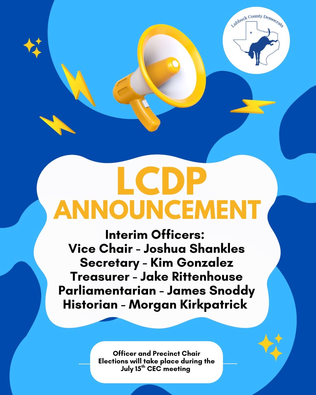 Interim Officers